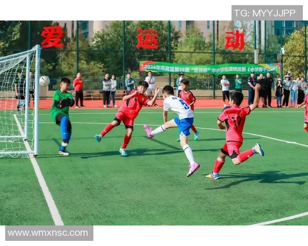 燃动绿茵激情苹果足球巨星闪耀赛场高清壁纸精选